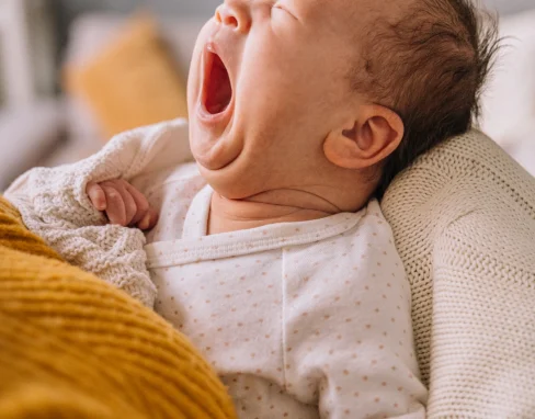 Untitled design - 2025-10-05T185818.228